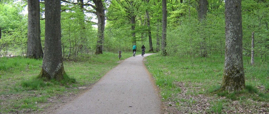 La piste Cyclable