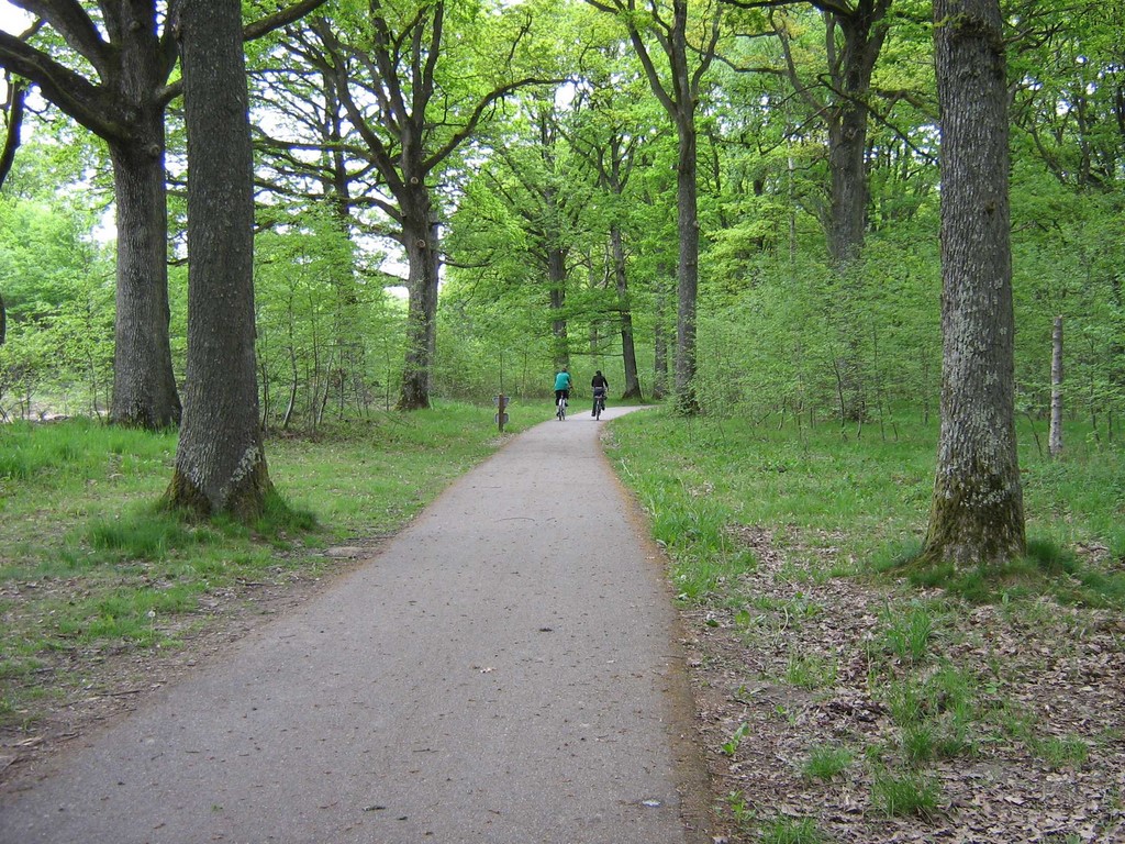 Piste Cyclable