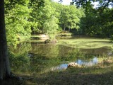 Etang le croix de vilpert