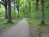 Piste Cyclable